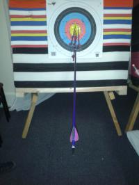 Targeting Archery archery photograph